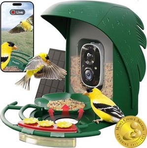 PerchMe® Bird Feeder with Camera Solar Powered,1080P Bird House Camera with AI Identify,Auto Capture Bird,Motion Detection,Smart Bird Feeder with Camera for Outdoors,A Ideal Gift(Seed Scoop Included)