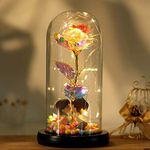 Blytheyes Galaxy Rose Gift for Women, Rainbow Forever Illuminated Glass Dome Rose Crystal Rose Led Light String Gift for Her Mom Wife Girlfriend, Anniversary Wedding Gift (Lover Kiss)