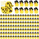 Barydat 200 Pcs Mini Resin Cowboy Ducks with Sunglasses Tiny Yellow Duck Ornament Miniatur for Micro Landscape Decor