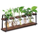 THYGIFTREE Plant Propagation Stations with Wooden Stand, Desktop Retro Plant Terrarium Bulb Vase for Indoor Hydroponic Flowers, Tabletop Glass Planter Housewarming Gifts for Plant Lovers