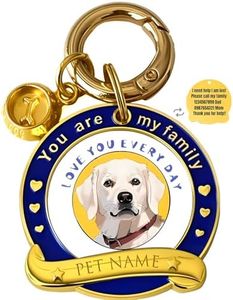 Metal Dog Tag Personalized, Custom Engraved Pet ID with Colorful Paw & Hearts, Elegant Memorial Keepsake, Non-Toxic, Ideal Pet Lover Gift,Labrador Retriever