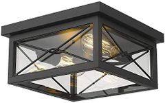 Emliviar 12 Inch Ceiling Light Fixture, 2-Light Flush Mount Ceiling Light in Black Finish, 0387B-CL BK