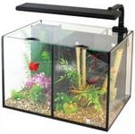 Aqua One Betta Duo Aquarium 20 Litre