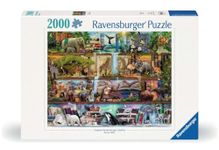 Ravensburger 16652 Aimee Stewart: Wild Kingdom Shelves Puzzle (2000 Piece)