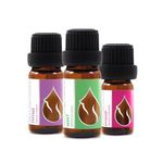 Set "Breathe Freely" Essences Bulgaria Organic Essential Oils | Thyme (10ml) + Mint (10ml) + Hyssop (5ml) | 100% Pure and Natural | Undiluted | Therapeutic Grade | Family-Owned Farm | Non-GMO | 3pcs