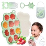 Tender Smile Baby Feeding Set with Silicone Popsicle Mold, Fruit feeder, Food Freezer Tray Storage, Pacifier and a Teether Toy, Toddler Utensils - Baby Food Maker for Boys and Girls (Green) (Green)