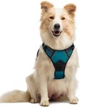 rabbitgoo Dog Harness Medium No Pull Pet Harness with 2 Leash Clips, Adjustable Soft Padded Pet Vest, Reflective No-Choke with Easy Control Handle for Training or Walking, Blue Coral, M