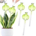 3PCS Plant Watering Globes, Cactus Shape Glass Self Watering Bulbs Plant Watering Devices Plant Waterers, Large Self Watering System for Plants Automatic Irrigation Device for Indoor and Outdoor Plant