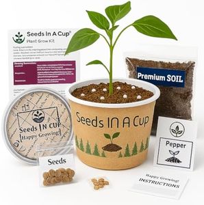 Seeds in a Cup Plant Growing Kit, Indoor/Outdoor, English Ivy Vine