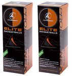 PROKENNEX Six Elite Racquetball Balls Half Black Half Orange for Indoor and Outdoor, Maximum Visibility