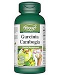 VORST Premium Garcinia Cambogia 5:1 Extract 1000mg Per Serving (5000mg raw fruit) 60 Capsules | Natural Weight Management & Gentle Appetite Suppressant Supplement for Smaller Appetites, Metabolism Efficiency and Digestive Health | Extra Strength Powder Pills | 1 Bottle