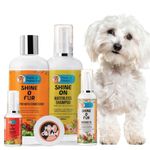 Papa Pawsome Long/Drop coat - Maltese - Complete Grooming Kit Shine O Fur Shampoo with conditioner 250ml + Shine On Waterless Shampoo +Shine O Fur massage oil 100ml + Soft and Shine Detangling Serum 50ml + Paw cream 25gm