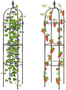 2 Pack Garden Trellis for Climbing Plants Outdoor, Rustproof Plastic Coated Metal Plant Support, Garden Obelisk Trellis Indoor Potted Plant, Tomato Cage for Support Rose, Vegetable Vines