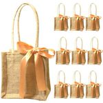 Prakriti Maitri 5/5/5 Inch Mini Gift Bags With Ribbon-Perfect Wedding Return Gift Jute Bag And Plantable Planter Bags Thamboolam Bags Pack Of 10(Pack Of 10), Brown