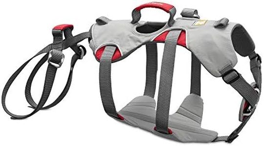 Ruffwear Climbing Harness for Dogs, Large to Very Large Breeds, Adjustable Fit, Size: Large/X-Large, Cloudburst Grey, Doubleback Harness