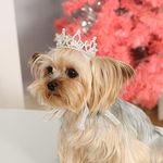 Lovelyshop Pet Series Silver Plated Royal Rhinestone Pearl Full Round Dog/Cat Crown for Costume Hair Accessories-XSmall Size