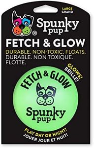 Spunky pup