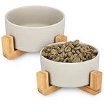 Navaris Ceramic Elevated Cat Bowls - Raised Double Food and Water Bowl Set for Cats and Small Dogs with Wood Stands - No Spill Pet Bowls - Grey