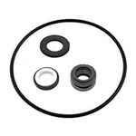 Sta-Rite DURA-JET DJ Pump Seal / O-ring Kit