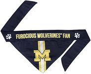 Littlearth Michigan Wolverines NCAA Pet Bandana