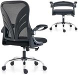 HOLLUDLE Ergonomic Office Chair wit