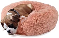 Dog Beds f