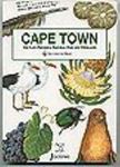 Discover the Magic - Cape Town: The Cape Peninsula National Park and Winelands