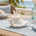 Natural Conch Shell, Real Large Conch Shell, Sea Shells for Vase Filler, Outdoor Shells, Air Plants, Beach Theme, Nautical Home Decor, Wedding Decor, Beach Theme Party, Aquarium Decoration 7-8''
