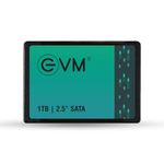 EVM 1TB 2.5 Inch SATA Internal SSD - Read: 550MB/s & Write: 500MB/s - SATA Solid-State Drive - 5Years Warranty (EVM25/1TB)