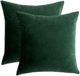 RainRoad Velvet Decorative Throw Pillow Covers Cushion Cover Pillow Case for Sofa Couch Bed Chair,Soft Square Dark Green Throw Pillows 18x18 Inch,Set of 2