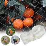 33 x 16 Ft Anti Bird Netting, Anti Bird Mesh, Garden Bird Netting, Reusable Nylon Anti Bird Protection Net, Protect Plants and Fruit Trees from Birds Rodents Deer Poultry