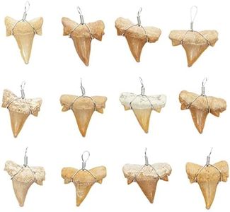 Zodaca 12 Pack Shark Teeth Necklace Pendants for DIY Crafts (0.8 x 1 In)
