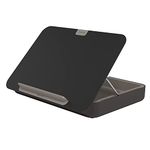 Bento by Dataflex Ergonomic Office Toolbox, Monitor Stand, Adjustable Laptop and Tablet Stand or Document Holder