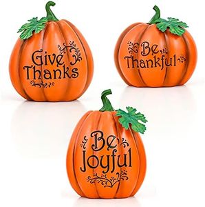 ALLADINBOX 3 Pcs Resin Fall Centerpiece Gift Set With Blessings Words for Thanksgiving Home Decorations