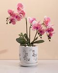 Fayoula Orchid Pot, 6.5 inch Large Orchid Pots with Holes for Healthy Growth and Easy Repotting, Premium Ceramic Orchid Planter for Indoor and Outdoor Use, Perfect Home for Your Orchids to Thrive