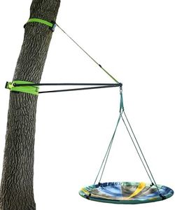 Treezone B
