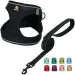 BELLA & PAL Puppy Harness with Leas