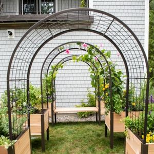 Gardener’s