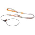 HOWGO Dog Slip Lead Dog Leash,Training Leash,Cinch Leash, No-Pull Slip Leash and Collar,Heavy Duty&Durable,Padded Handle,for All Breeds(Gray, 5FT)