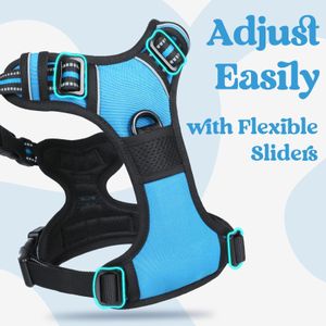 rabbitgoo Small Dog Harness, Sky Blue, Size M – No Pull Adjustable