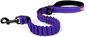 EzyDog Zero Shock Leash - Best Shock Absorbing Bungee Dog Leash & Training Lead - Double Handle Reflective Leash for Traffic Control - for Walking, Jogging and Running (25-Inch, Purple)