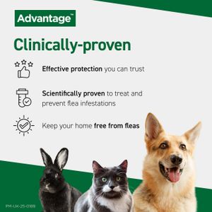 Advantage Spot On Flea Treatment for Cats & Small Dogs Under 4kg