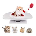 Pet Scale For Rabbits