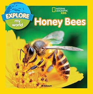Explore My