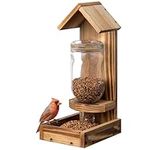 Navaris Bird Feeder with Glass Bottle - Hanging Seed Feeder for Small Birds - Sturdy Pine Wood & Removable Glass Bottle for Easy Refills - Feeders for Backyard or Balcony