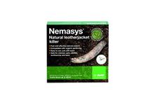 Nemasys leatherjacket killer (100sqm pack)