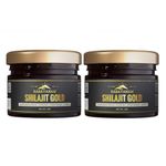 Rasayanam Shilajit Gold Resin 20g (80 Servings) | 300 -500mg/serving | 75% Fulvic Acid | High Potency Shilajeet, Ashwagandha KSM66, Swarn Bhasma (24 Carat Gold) & Saffron | Strength & Muscle Recovery (Pack of 2, 20g Each)