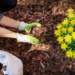 Decorative Bark 1 x 80 Litre Decora