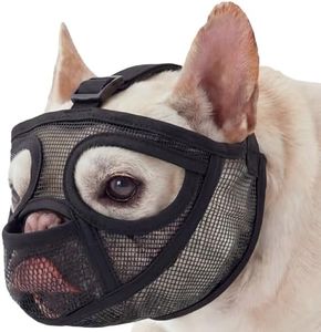 Pezluxe Short Snout Dog Muzzle, Adjustable French Bulldog Muzzles to Prevent Biting Eating Chewing, Soft Mesh Dog Muzzle for Shih Tzu Pug English Bulldog for Grooming, Allow to Drink & Feed (L,Black)