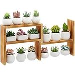 Tovacu Small Table Top Plant Shelf,